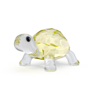 Idyllia Baby Tortoise