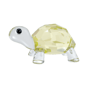 Idyllia Baby Tortoise