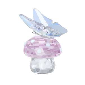 2026 Capsule Mushroom and Butterfly