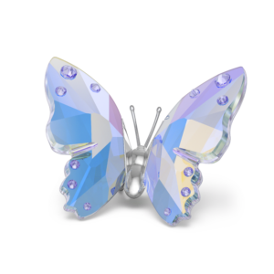 2026 Capsule Butterfly